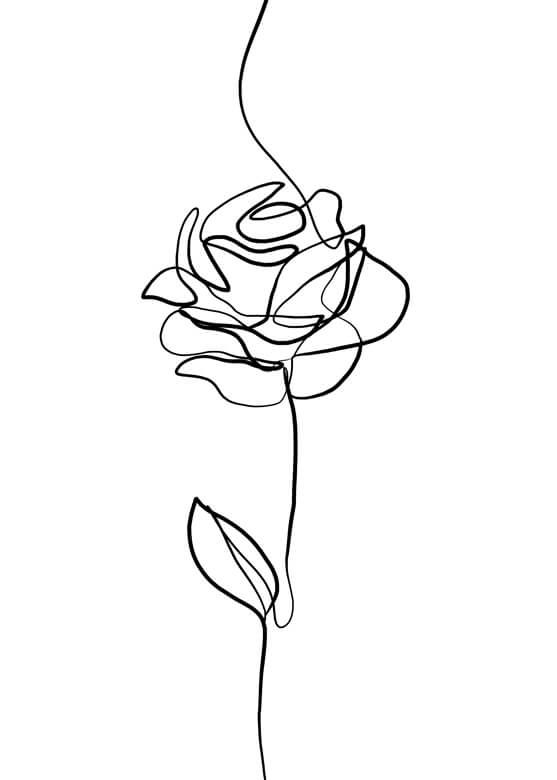 Lineart - Rose