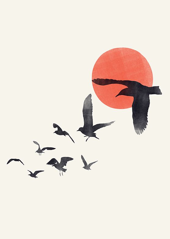 Fliegende Vögel