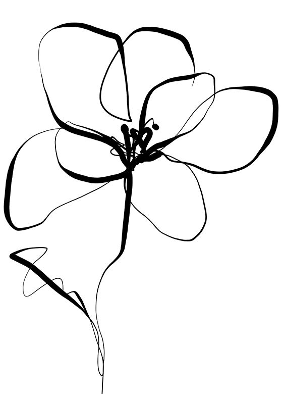 Magnolie 01