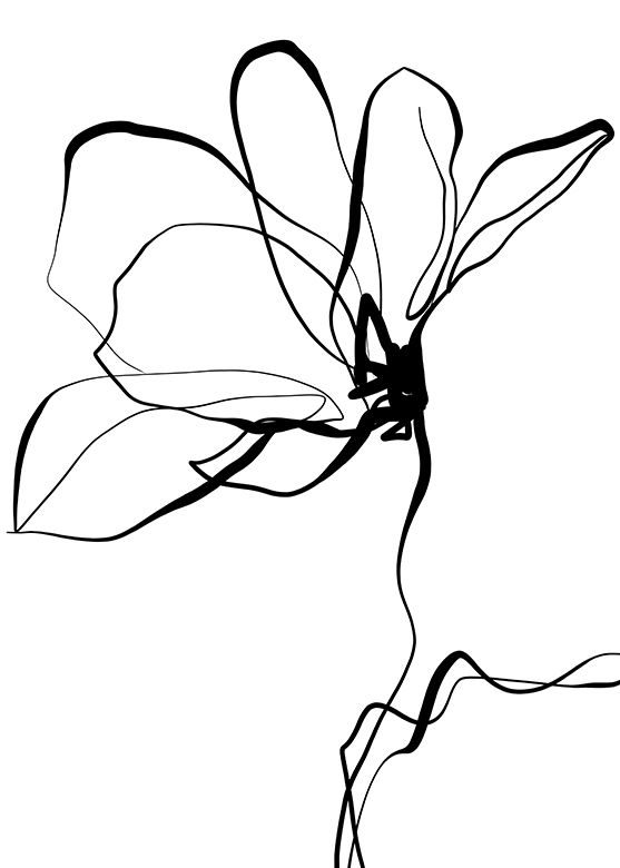 Magnolie 02