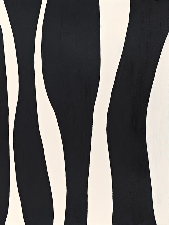 Zebra Linien