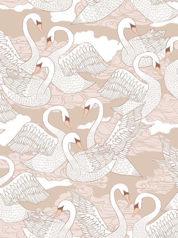 Schwäne – Cotton