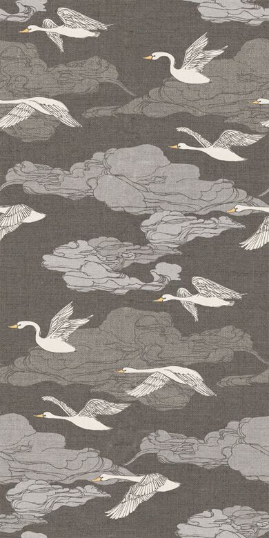 Wilde Schwäne – grau