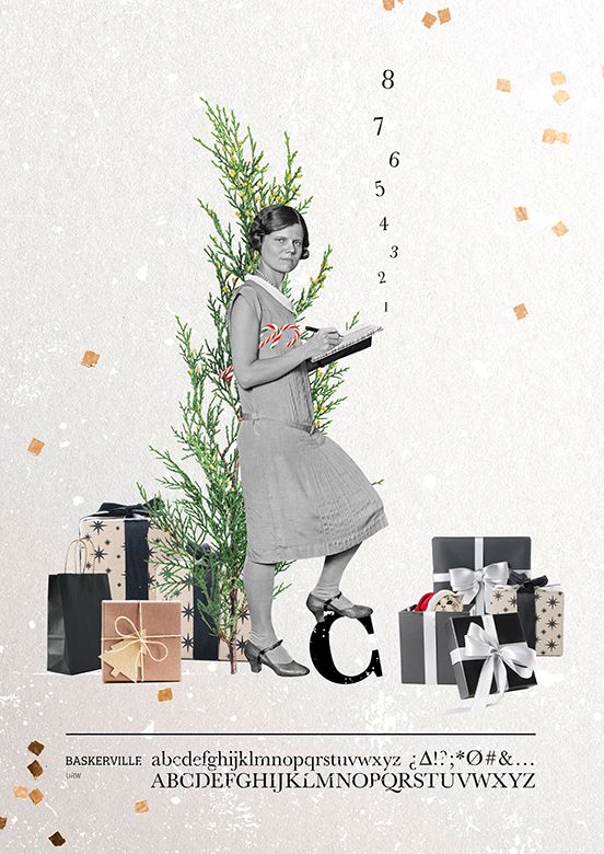 Christmas Count
