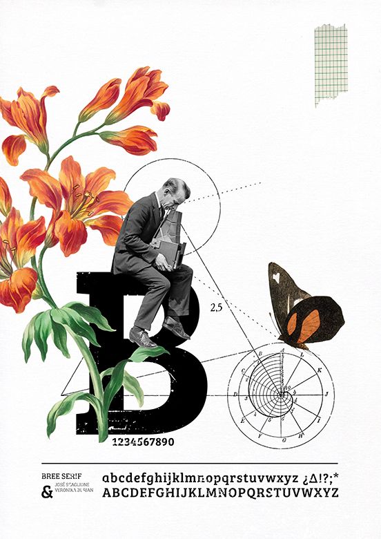 Letter B