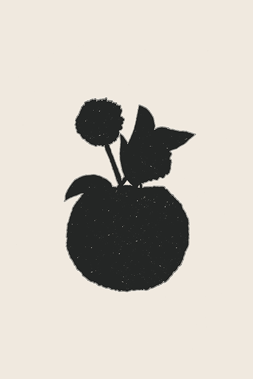 Topfpflanzen - Allium
