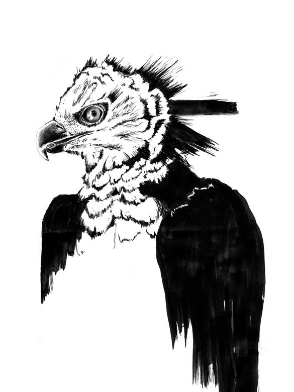 Mystic Harpye