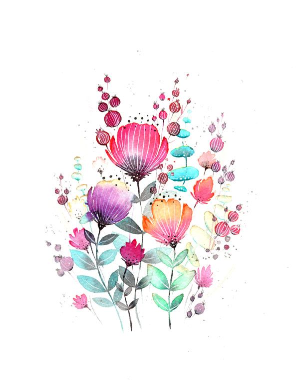 Regenbogenblumen