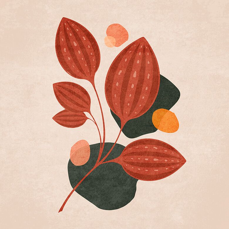 Boho Blätter 04