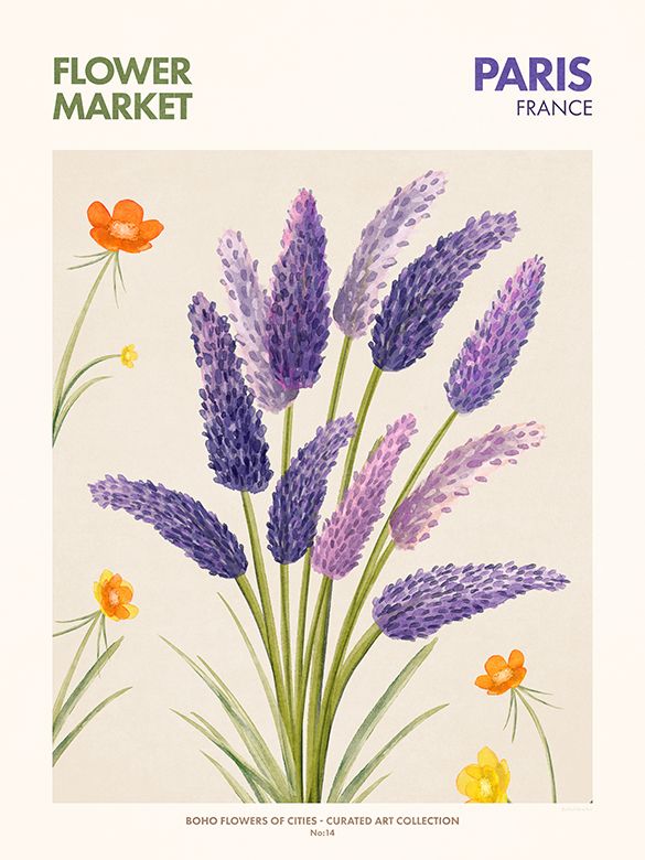 Blumenmarkt - Paris