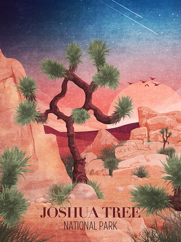 Joshua Tree - National Park