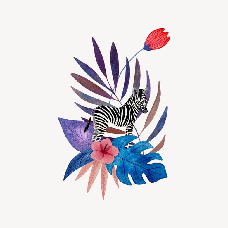 Tropisches Zebra - Weiß