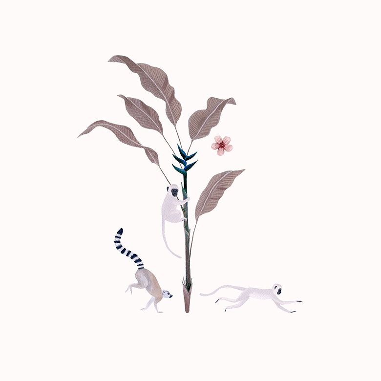 Botanische Illustration - Drei Affen