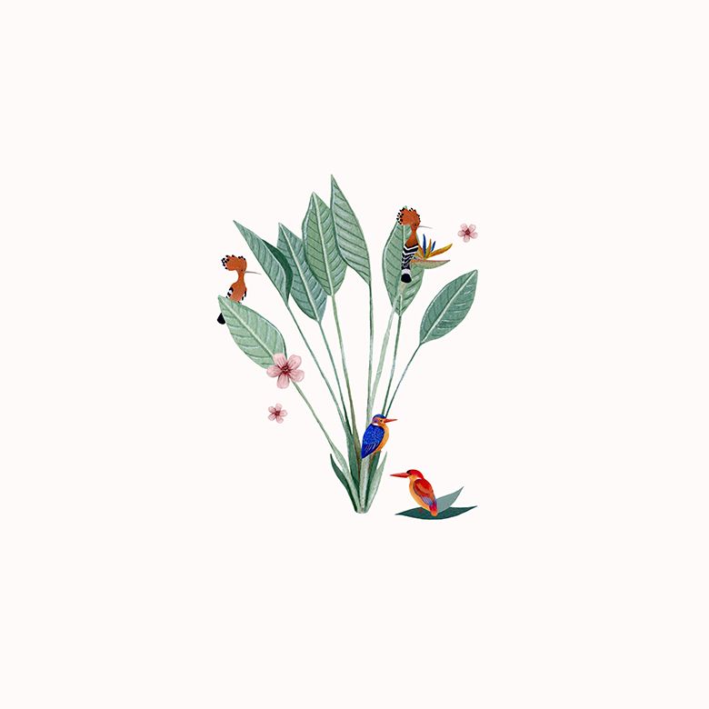 Botanische Illustration - Vögel