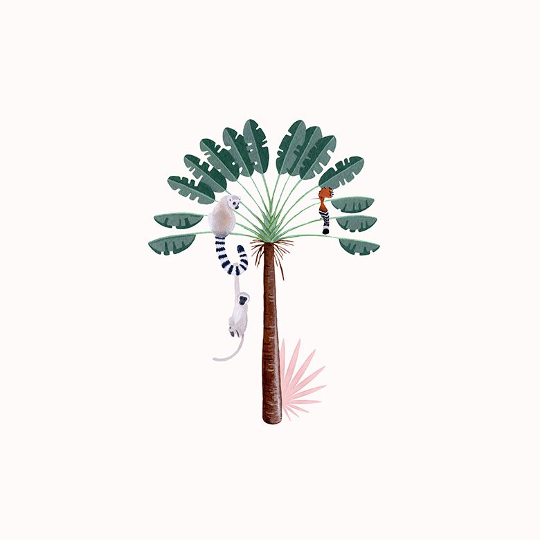 Botanische Illustration - Zwei Affen