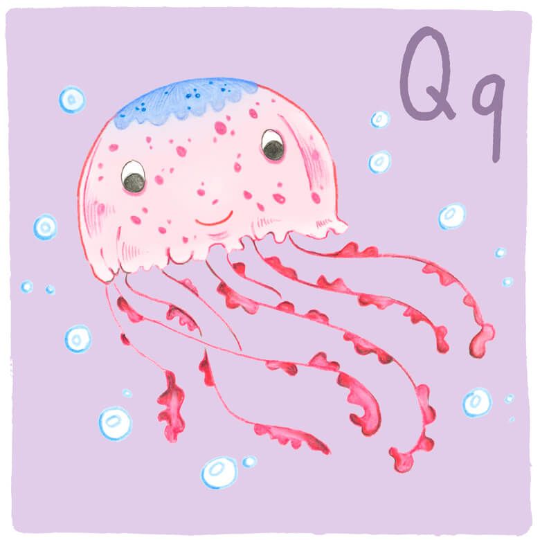 Buchstabe Q – Qualle