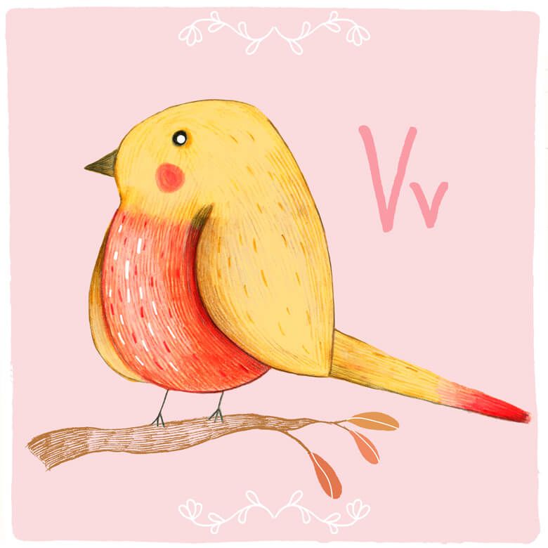 Buchstabe V – Vogel