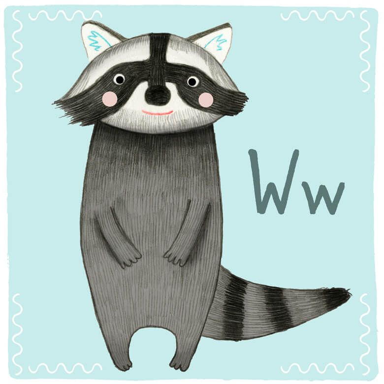 Buchstabe W – Waschbär