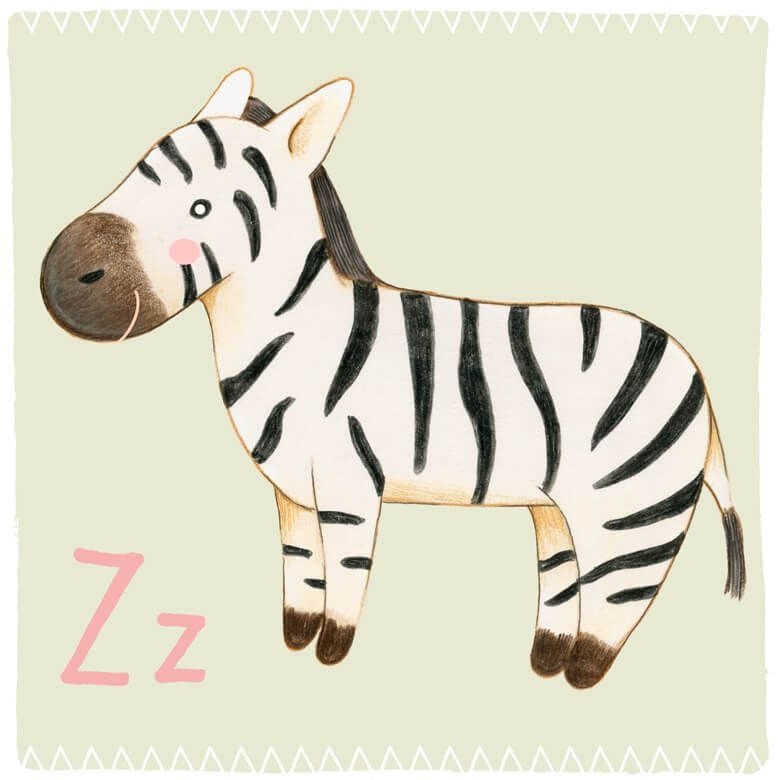 Buchstabe Z – Zebra