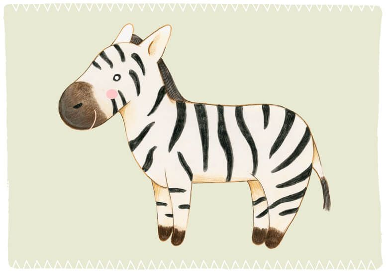 Zebra