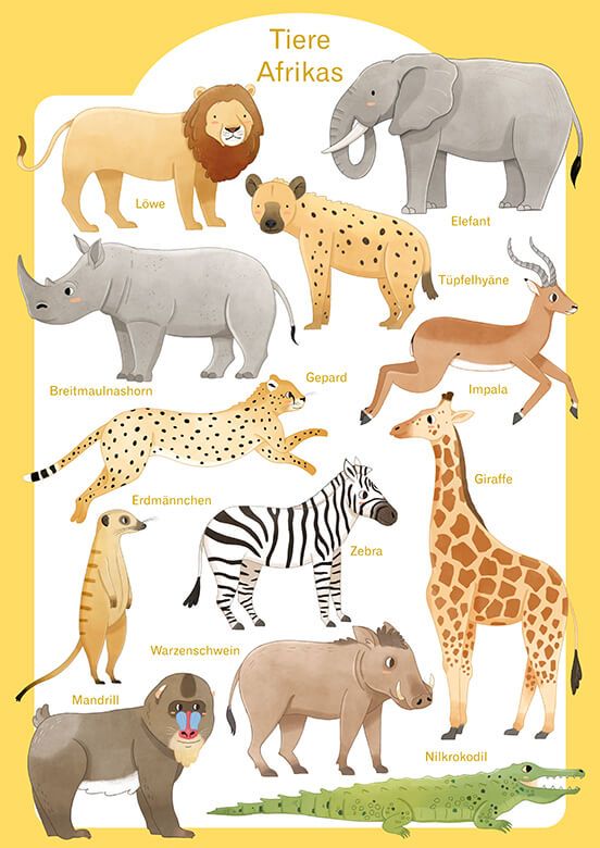 Tiere Afrikas - Deutsch