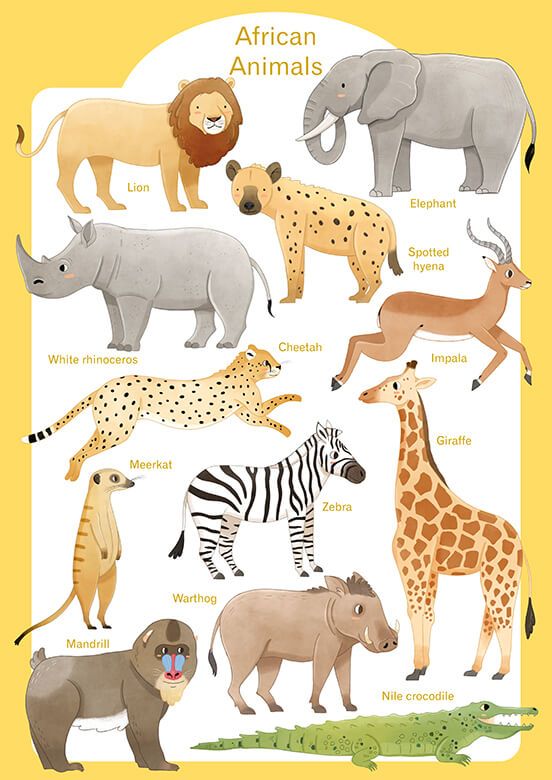 Tiere Afrikas - Englisch