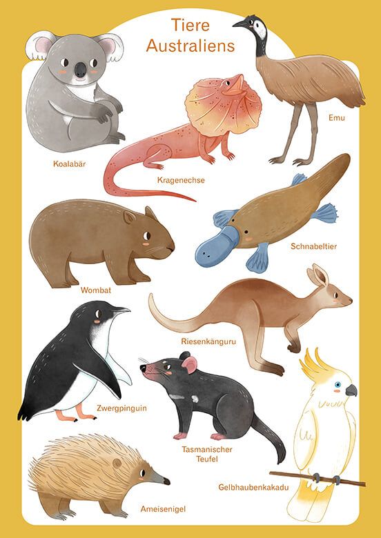 Tiere Australien - Deutsch