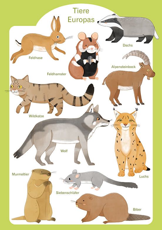 Tiere Europa - Deutsch