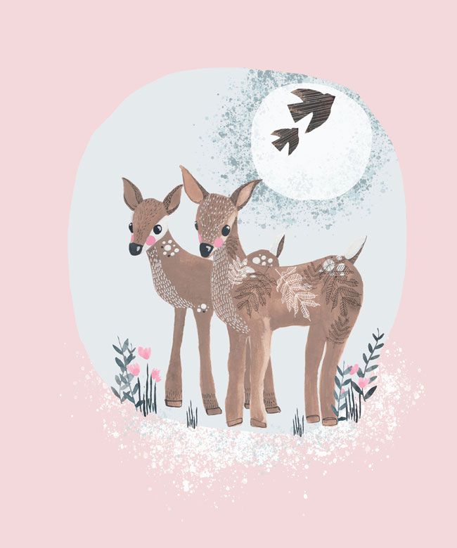Rehe
