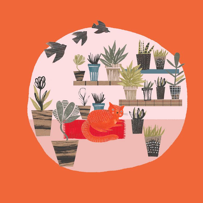 Plantlady is the new catlady