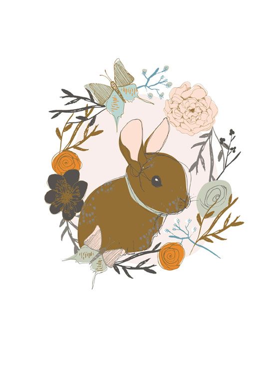 Hase