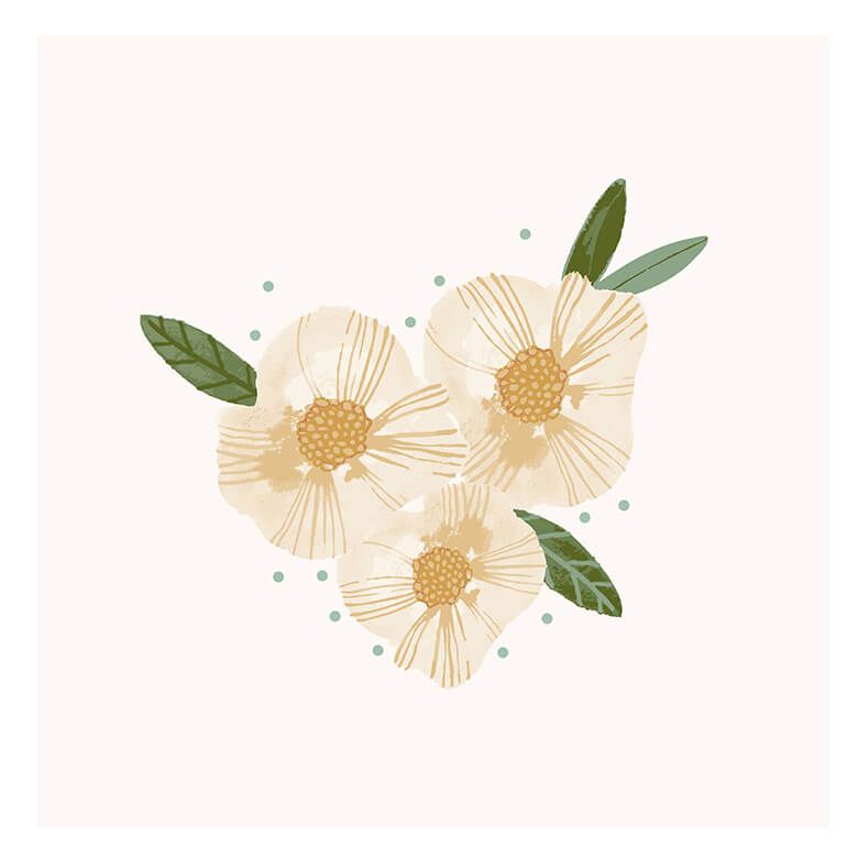 Foral