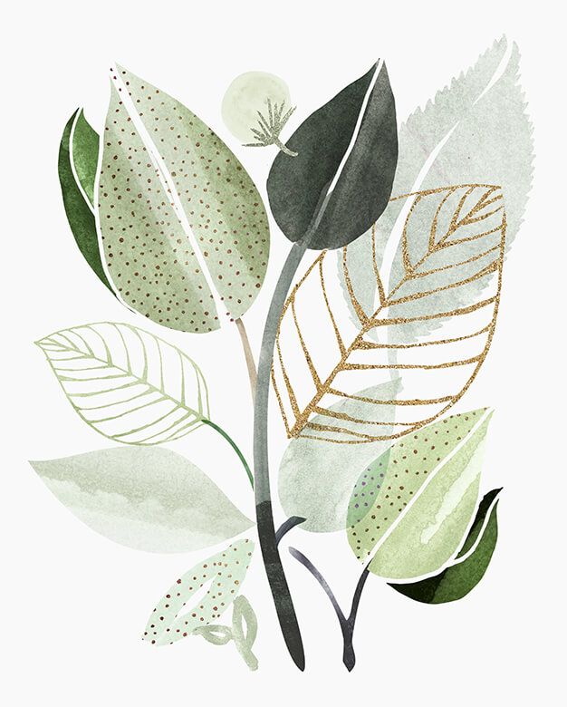 Leaf Party
