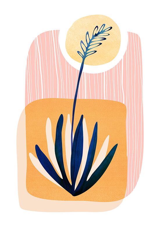 Sonnenagave