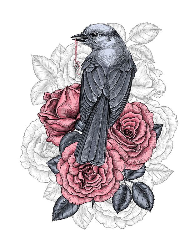 Der Vogel mit dem Silberschlüssel