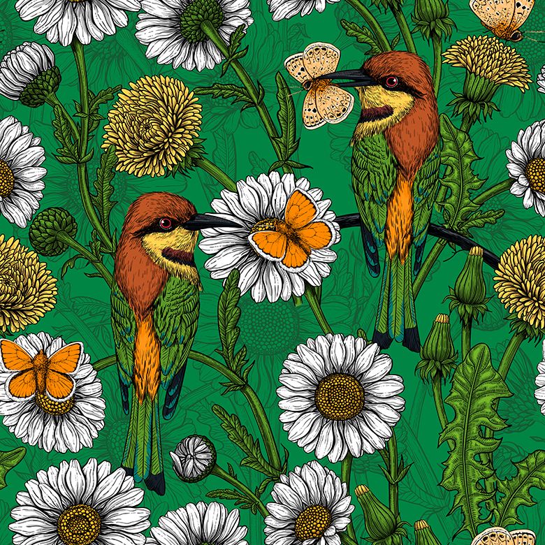 Bienenfresser und Gänseblümchen - Grün