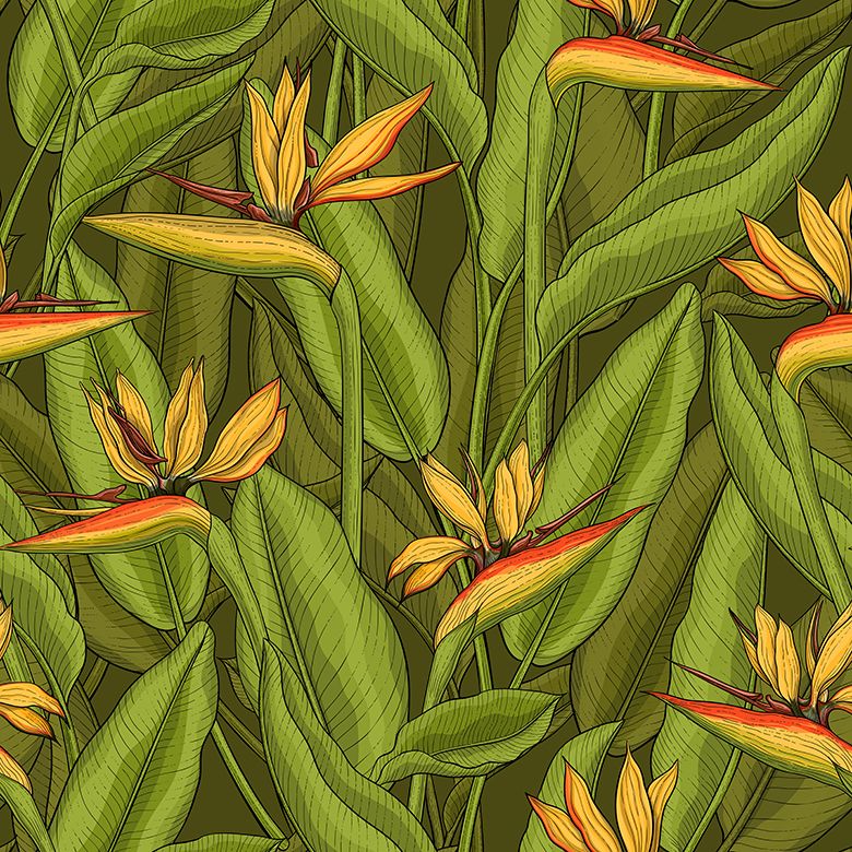 Papageienblumen - Grün