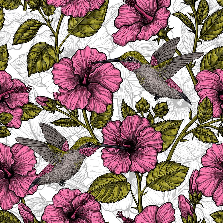 Kolibri und pinke Blüten