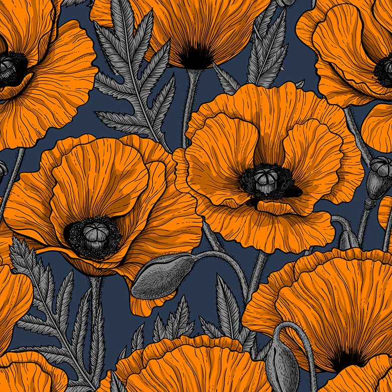 Orangene Mohnblumen - Blau