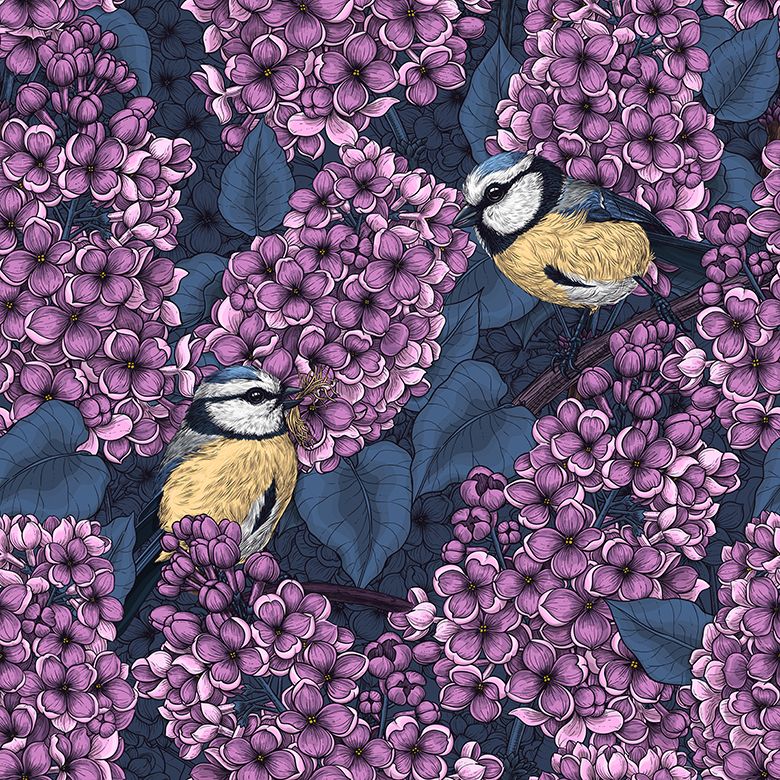 Meisen zwischen violetten Blüten