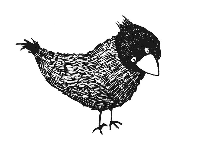 Vogel