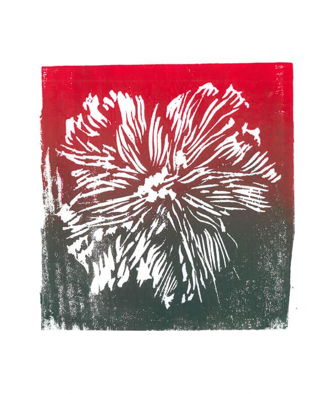 Blüte 01 - Rot