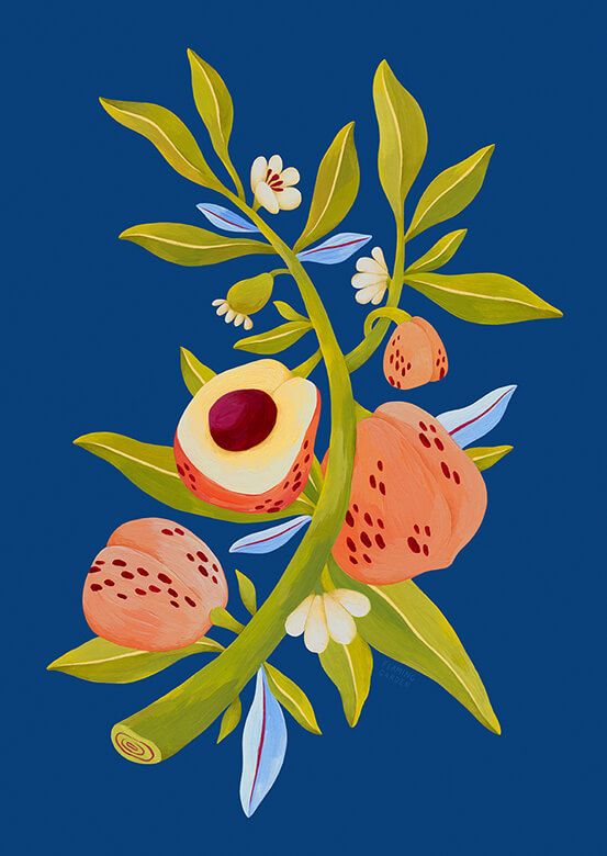 Pfirsichbaum