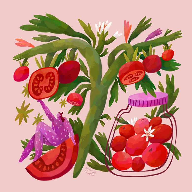 Ode an die Tomaten