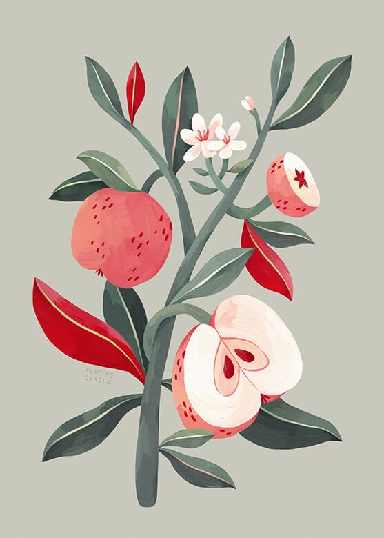 Apfelbaum
