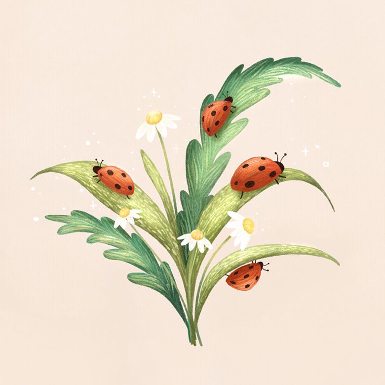 Marienkäfer