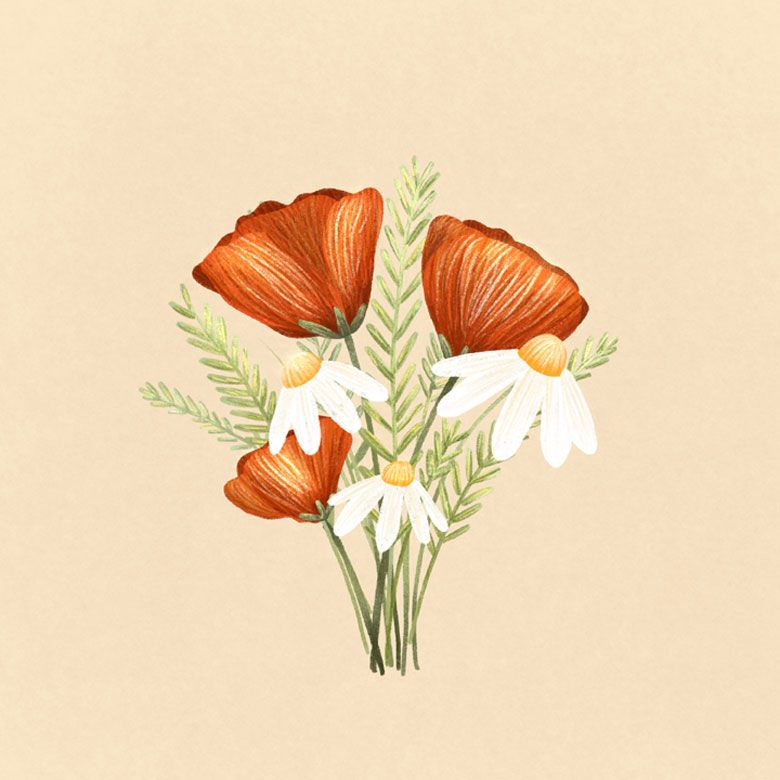 Feldblumen