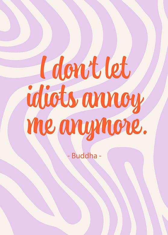 I don't let idiots annoy me anymore